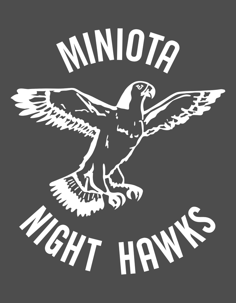 Miniota Night Hawks