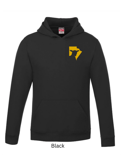 MSA Hoodie (Adults)