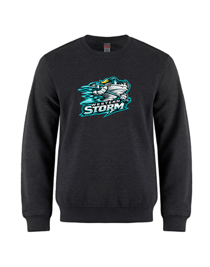 Storm Crewneck Youth