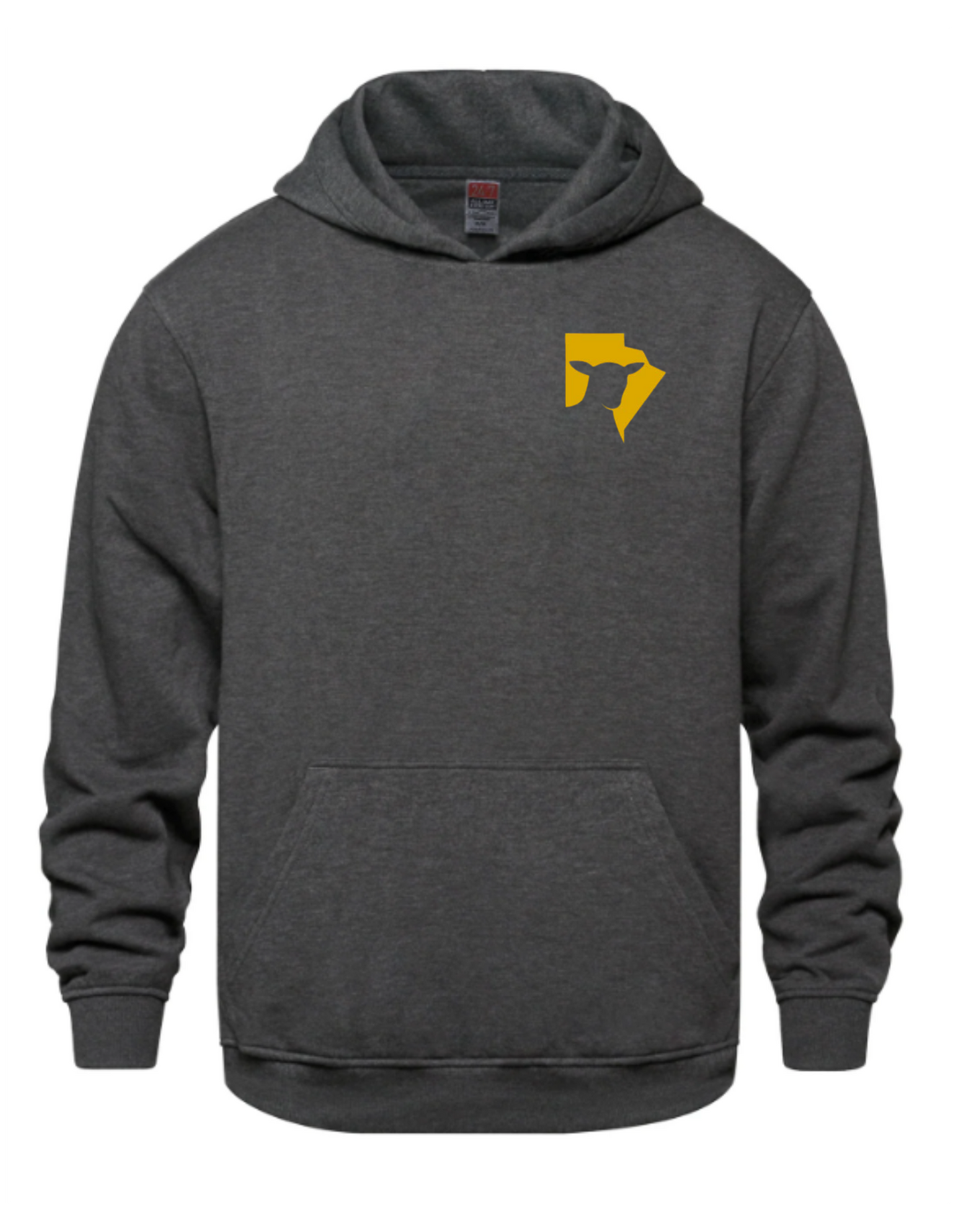 MSA Hoodie (Adults)