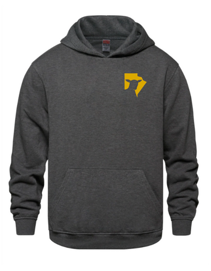 MSA Hoodie (Adults)