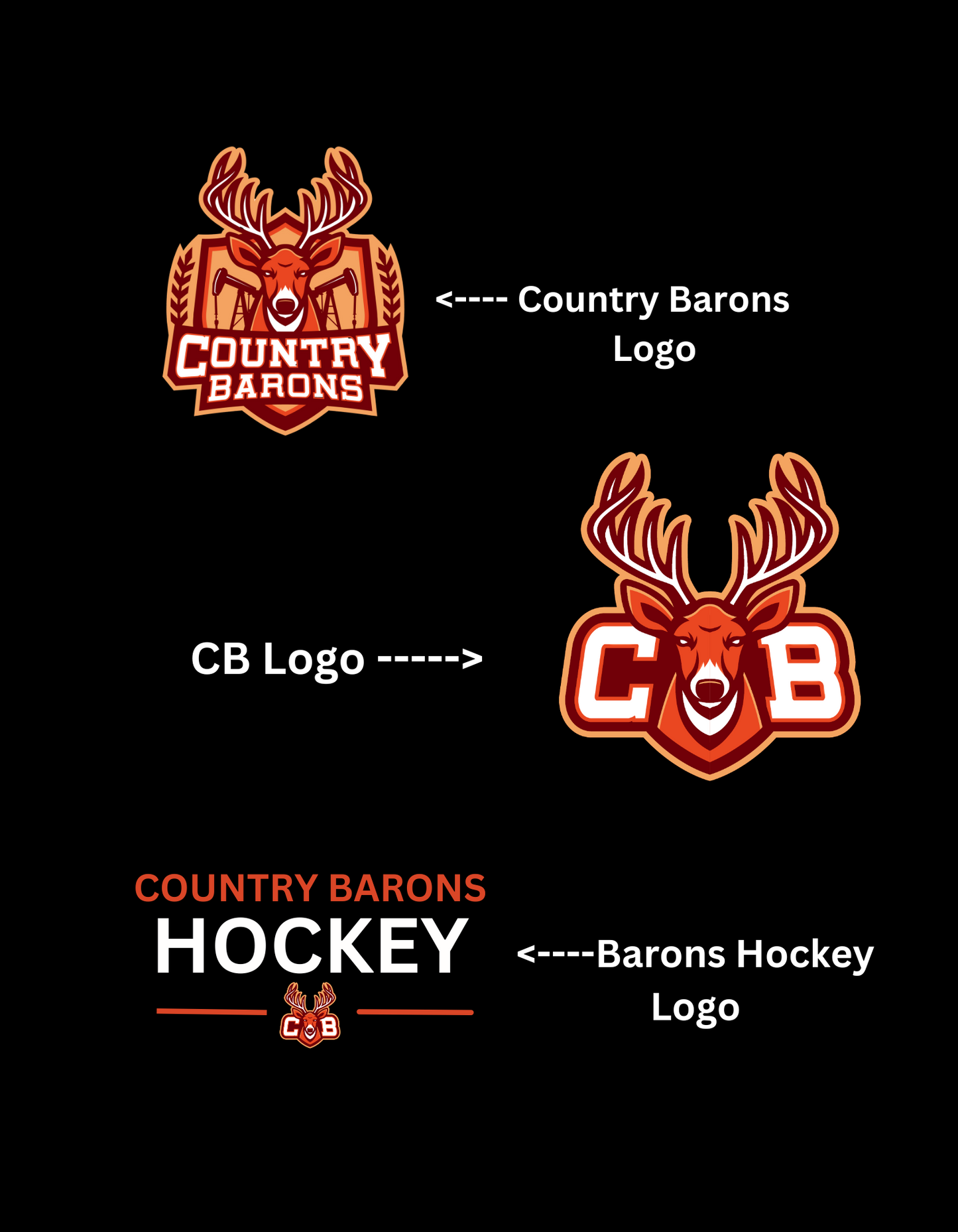 Country Barons Hoodie Youth