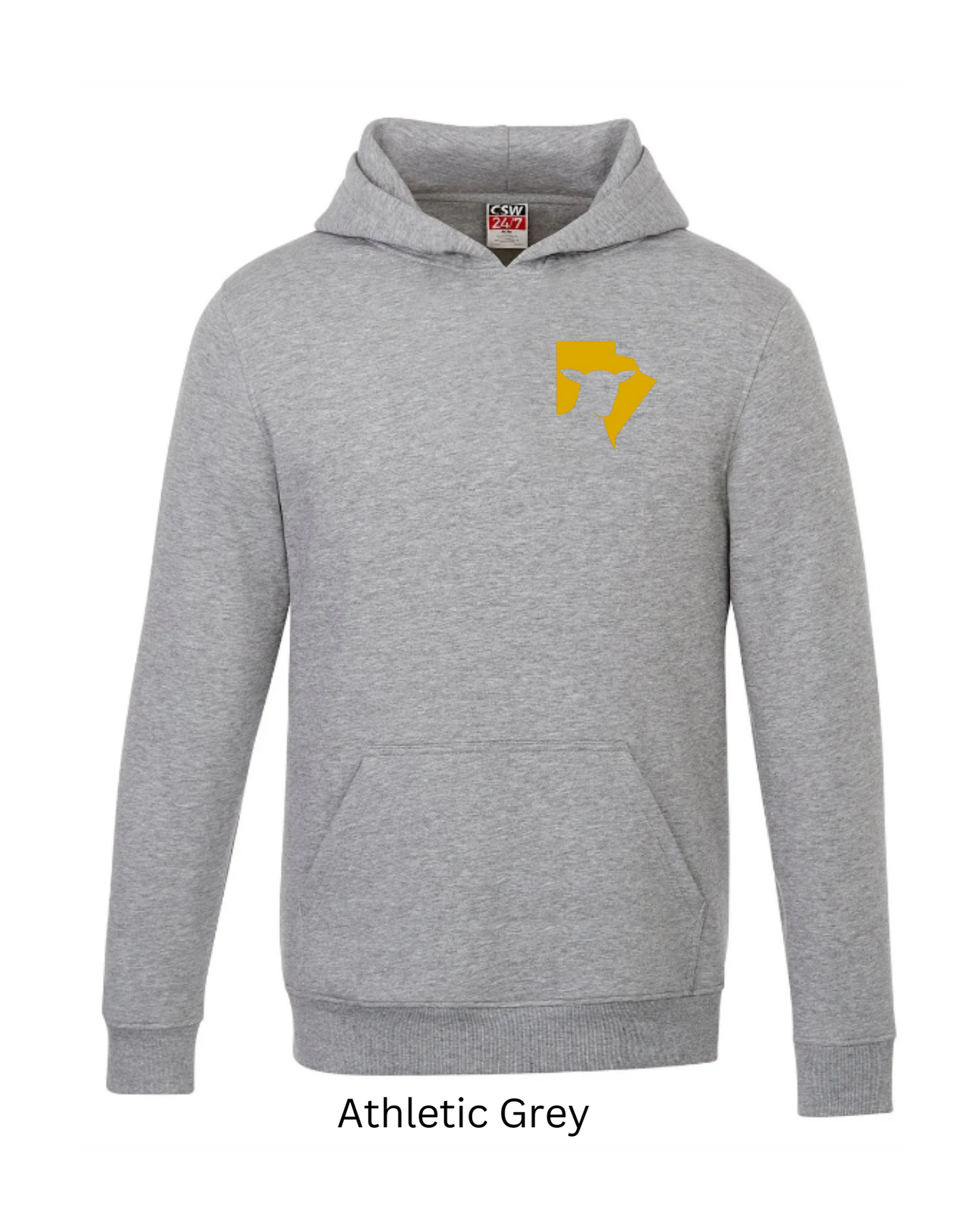 MSA Hoodie (Adults)