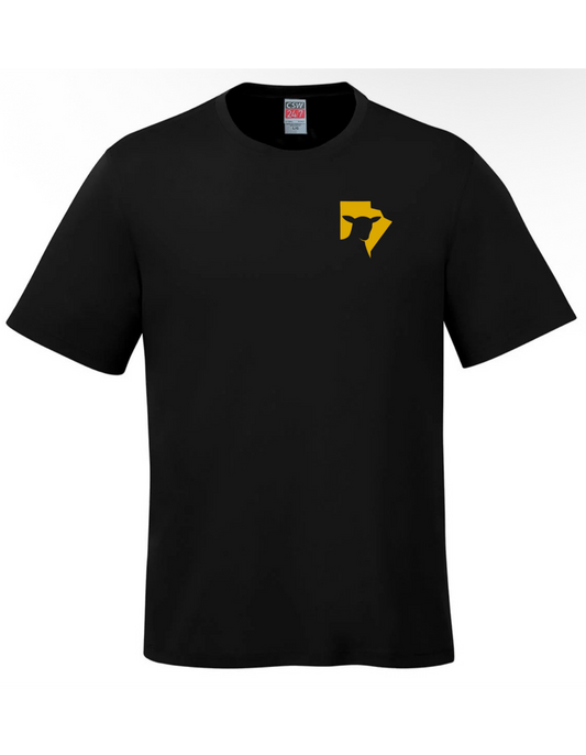 MSA T-Shirt (Adults)